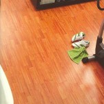 ����� - �������� - �������